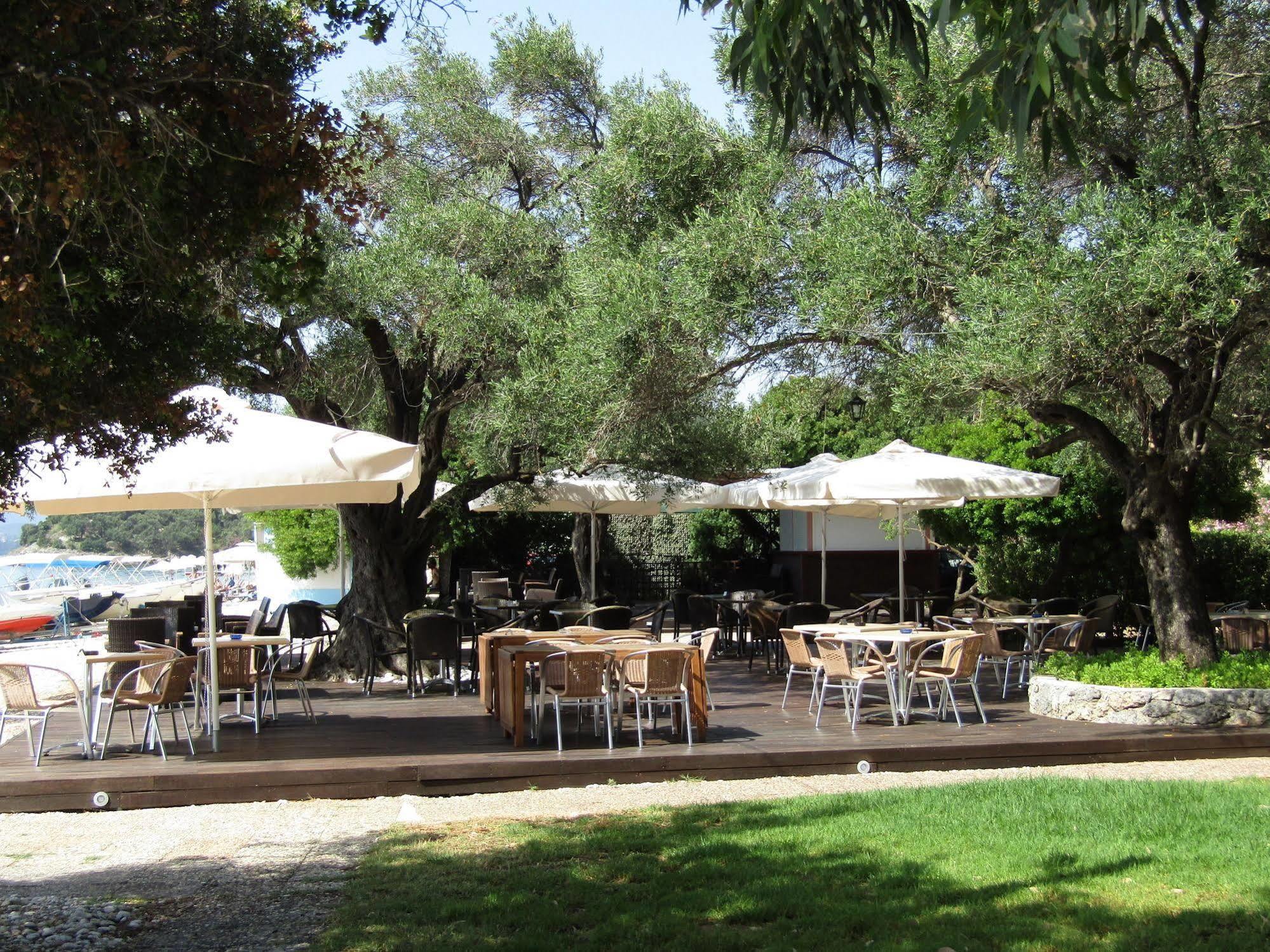 Barbati Beach Holiday Apartment, Corfu,Greece Extérieur photo