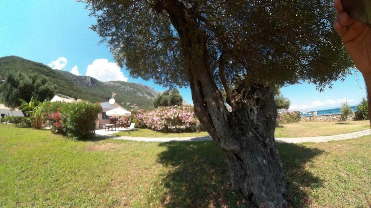Barbati Beach Holiday Apartment, Corfu,Greece Extérieur photo